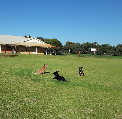 Meet The Animals - Accommodation BNB 3