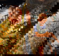 Australian Army Flying Museum - Accommodation BNB