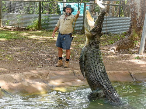 Billabong Sanctuary - Accommodation BNB 1