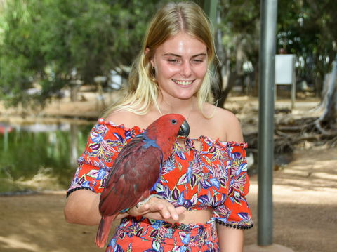 Billabong Sanctuary - Accommodation BNB 2
