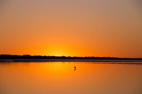 Birdwatching On The Fraser Coast - Accommodation BNB 1