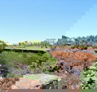 Bladensburg National Park - Accommodation BNB