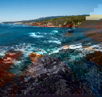 Boyds Tower to Saltwater Creek Walking Track - Accommodation BNB