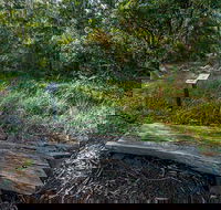 Browns Forest Loop Trail - Accommodation BNB