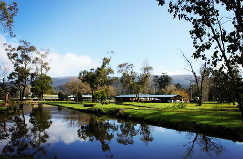 Buxton Trout And Salmon Farm - Accommodation BNB 2