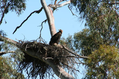 Castle Creek Reserve - Accommodation BNB 0