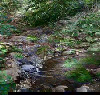 Cascades picnic area - Accommodation BNB