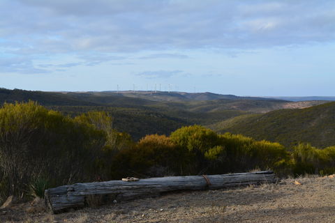 Cleve Hills Scenic Drive & Lookout - Accommodation BNB 0