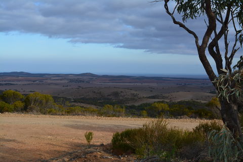 Cleve Hills Scenic Drive & Lookout - Accommodation BNB 1