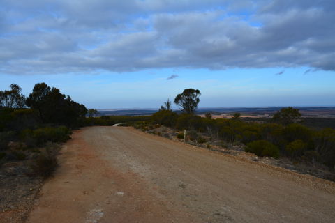 Cleve Hills Scenic Drive & Lookout - Accommodation BNB 2