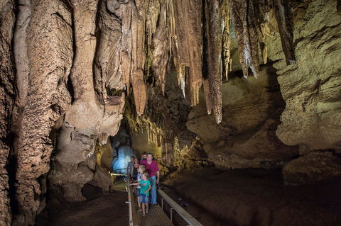 Cutta Cutta Caves Nature Park - Accommodation BNB 0