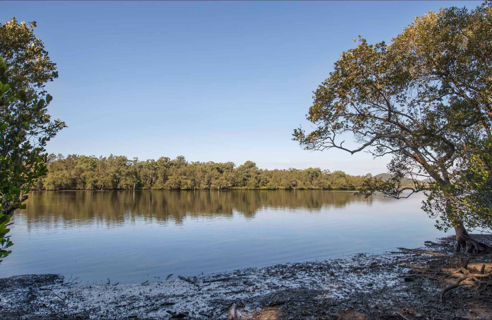 Limeburners Creek NSW Accommodation BNB