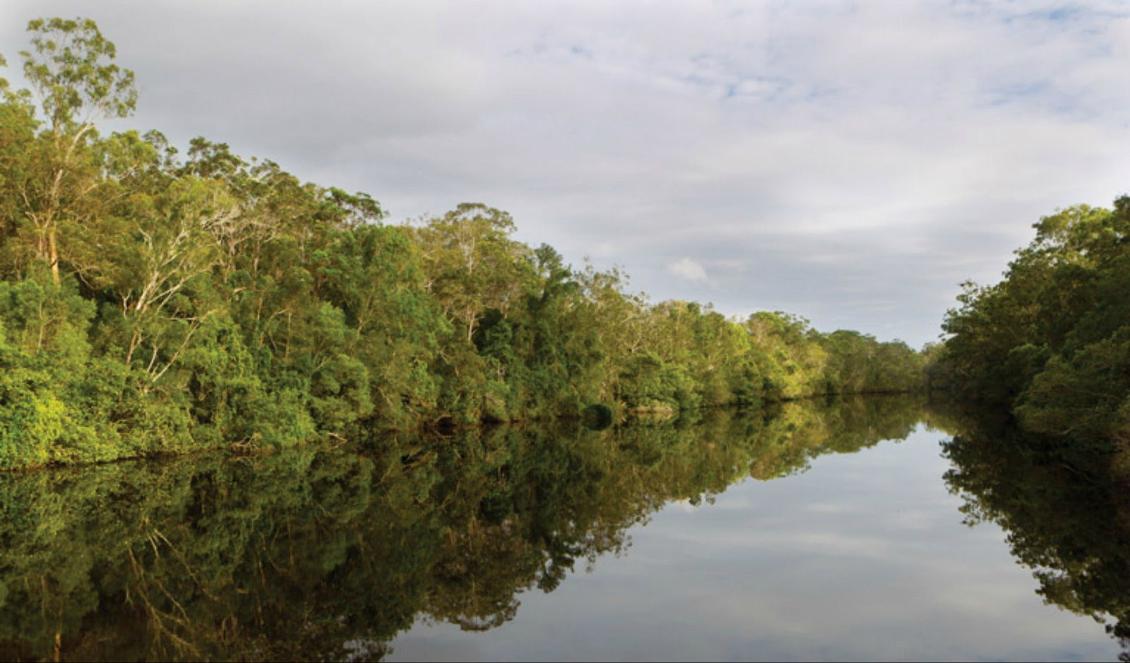 The Freshwater NSW Accommodation BNB
