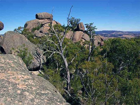 Evans Crown Nature Reserve - Accommodation BNB 0