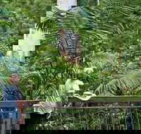 Grandis Picnic Area - Accommodation BNB