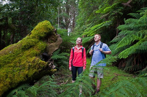 Grand Strzelecki Track - Accommodation BNB 0