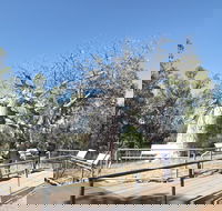 Gregory's Tree Timber Creek - Accommodation BNB