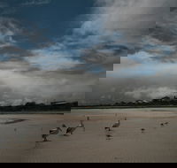 Hardwicke Bay - Accommodation BNB