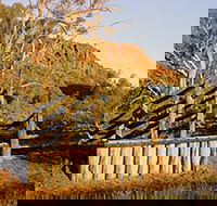 Illamurta Springs Conservation Reserve - Accommodation BNB