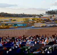 Ipswich Motorsport Precinct - Accommodation BNB
