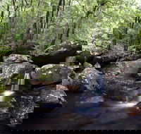 Kangaroo River - Accommodation BNB