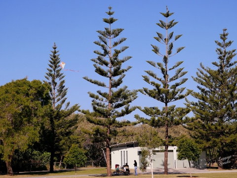 Kurrawa Park - Accommodation BNB 0