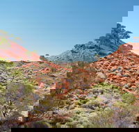 Lark Quarry Conservation Park - Accommodation BNB