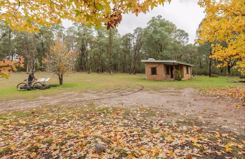 Major Clews Hut Walking Track - Accommodation BNB 0