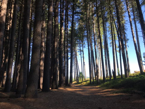 Mountain Bike Trails Tumbarumba - Accommodation BNB 0