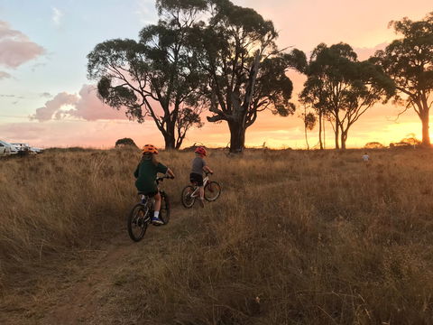 Mountain Bike Trails Tumbarumba - Accommodation BNB 2