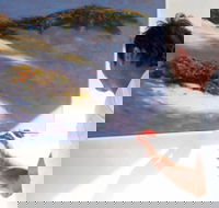 Neale Joseph Fine Art Gallery - Accommodation BNB