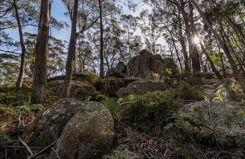 Pheasants Peak Walking Track - Accommodation BNB 0