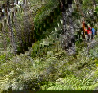 Pipers lookout - Accommodation BNB