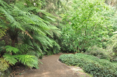 Pirianda Gardens - Accommodation BNB 0