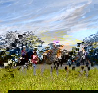 Port Macquarie Horse Riding Centre - Accommodation BNB