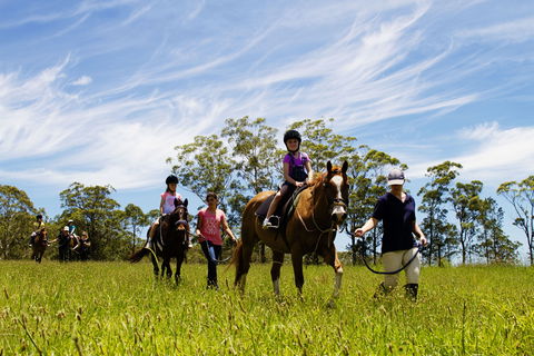 Port Macquarie Horse Riding Centre - Accommodation BNB 0