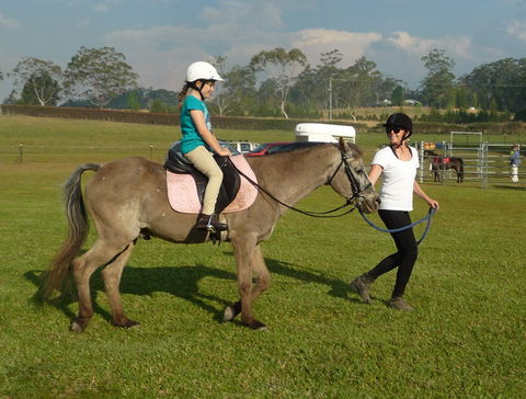 Port Macquarie Horse Riding Centre - Accommodation BNB 1