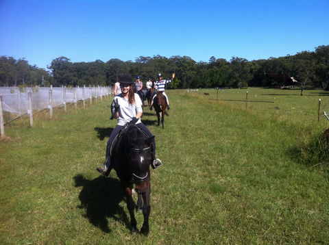 Port Macquarie Horse Riding Centre - Accommodation BNB 2