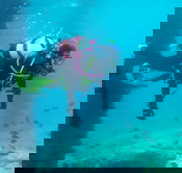 Shellharbour Scuba  and Photography Centre - Accommodation BNB