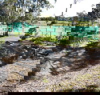 Tactical Paintball Games - Accommodation BNB