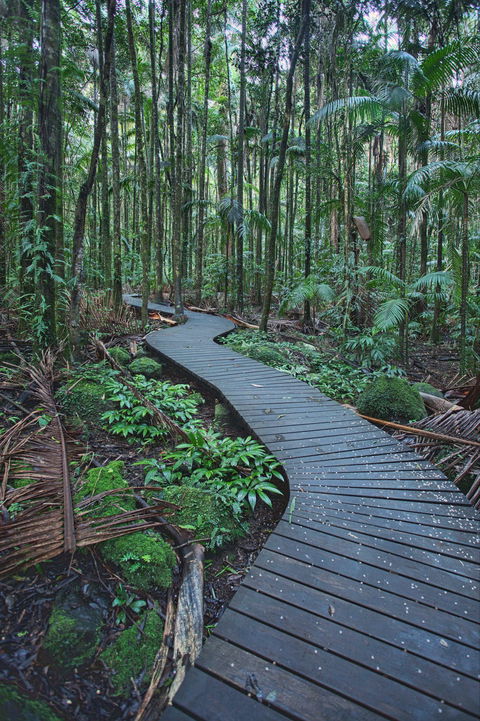 The Channon, Protesters Falls, Nimbin And Mount Nardi - Accommodation BNB 0