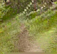 Three Views walking track - Accommodation BNB