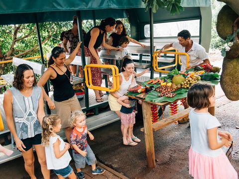 Tropical Fruit World - Accommodation BNB 2