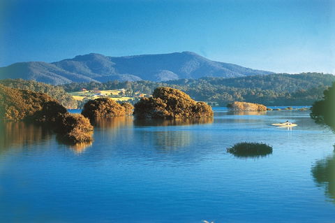 Wagonga Picnic Area - Accommodation BNB 0