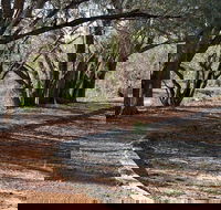 Warrego Floodplain walking track - Accommodation BNB