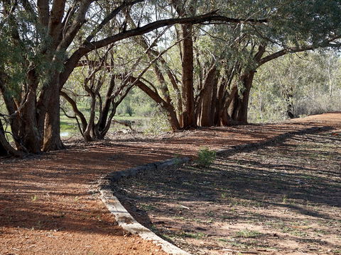 Warrego Floodplain Walking Track - Accommodation BNB 0
