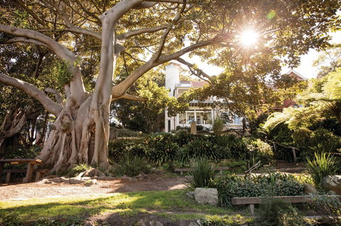 Wendy Whiteley's Secret Garden - Accommodation BNB 0