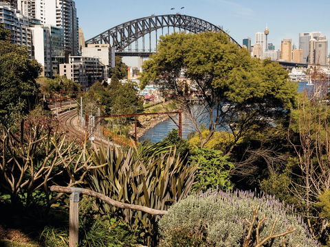 Wendy Whiteley's Secret Garden - Accommodation BNB 2