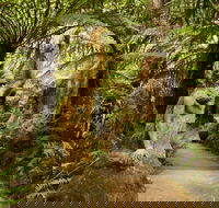 William Ricketts Sanctuary - Accommodation BNB