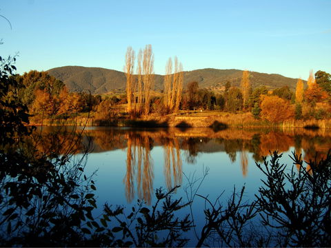 Allan's Flat Reserve - Accommodation BNB 0